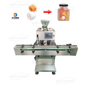Machine d'insertion de dessicant colonne d'insertion automatique pour aliments